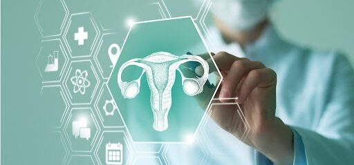 Interface digital com ilustração do útero, associada ao tratamento da menopausa.